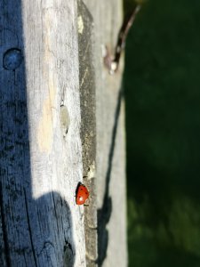 IMG_20200515_114753.jpg