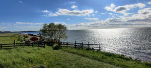 IMG_20200519_171814.jpg