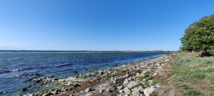 IMG_20200519_172318.jpg