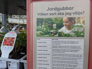 2020-05-20.jpg