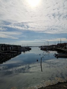 IMG_20200521_093307.jpg