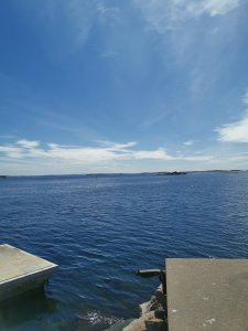 IMG_20200521_121702.jpg