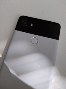 99084724_242468650310599_3742177985365540864_n.jpg