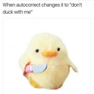 acb9412c8c9c353c019b2dbce1afe1d9--duck-duck-gallows-humor.jpg