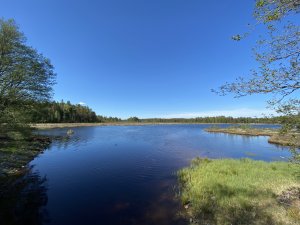 F8145ACD-D946-4D22-AB6C-E43E07601D84.jpeg