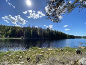 157590B7-E3E2-477D-B6DB-E7275642FE20.jpeg