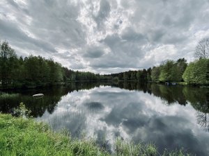 C5EA8943-E9BA-4634-8ABB-060B85F47086.jpeg