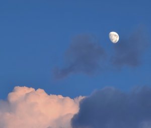 3BC8924E-6666-42DD-A4E7-05743F7AB91B.jpeg