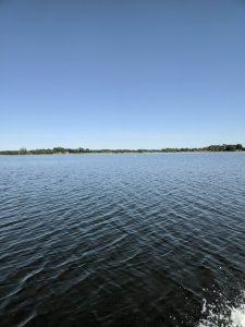 IMG_20200601_145140.jpg