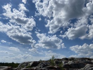 IMG_0807.jpg