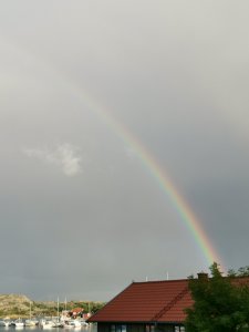 IMG_20200707_202745.jpg