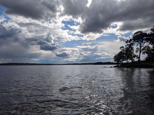 MVIMG_20200711_172212.jpg