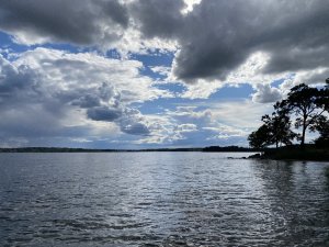 IMG_0843.jpg