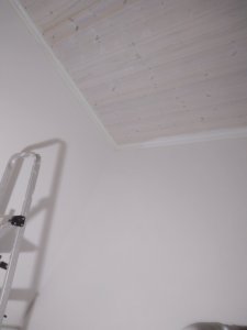 IMG_20200712_005125.jpg