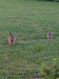 DSC_0022.JPG