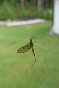 IMG_20200720_080732.jpg