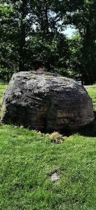 IMG_20200722_090707.jpg