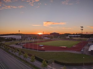 IMG_20200724_212906.jpg