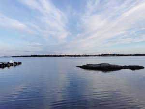 IMG_20200727_202213.jpg