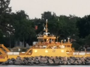 IMG_20200727_202149.jpg