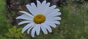 20200630_204724.jpg