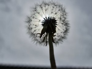 20200603_115601.jpg