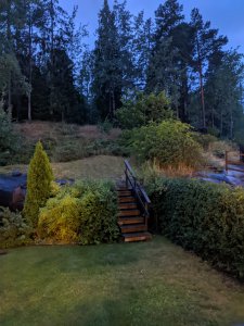 IMG_20200728_221758.jpg