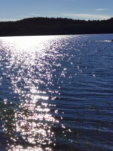 IMG_20200731_183314.jpg