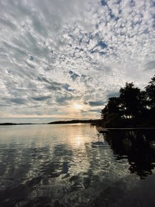 IMG_5264.jpeg