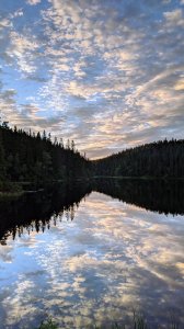 IMG_20200801_211318.jpg