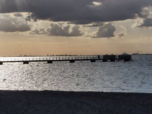 IMG_20200803_192641.jpg