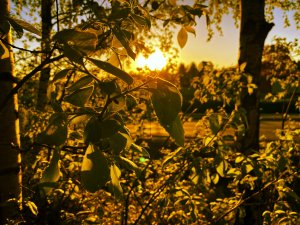 A2937FA2-3CC3-41FC-AF86-2ED965FFD5E6.jpeg