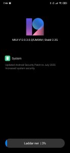 Screenshot_2020-08-04-07-46-05-163_com.android.updater.jpg