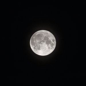 moon.jpg