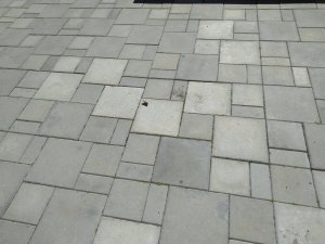 IMG_20200804_132213.jpg