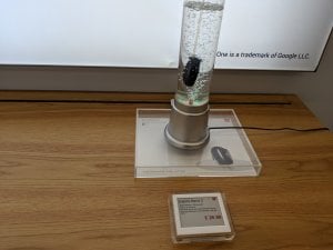IMG_20190219_152313.jpg