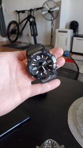 20200805_142942.jpg