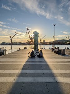 IMG_20200807_195347.jpg
