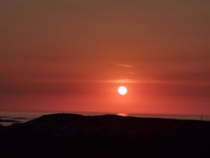 IMG_20200808_205928.jpg