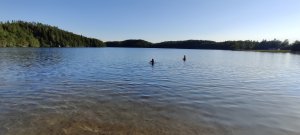 IMG_20200808_185701.jpg