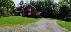 IMG_20200809_132649.jpg