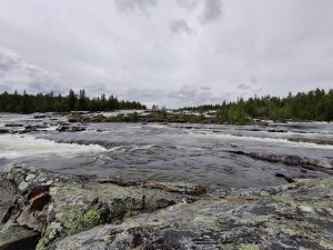 IMG_20200811_150403.jpg