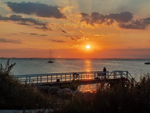 IMG_20200811_203258.jpg