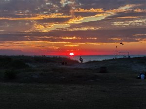 IMG_20200806_205917.jpg
