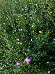 20200808_100733.jpg