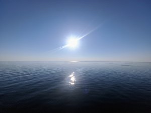 IMG_20200816_180840.jpg