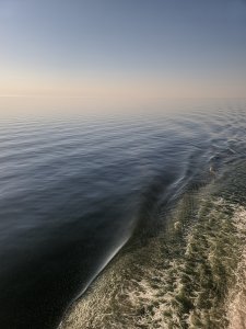 IMG_20200816_183101.jpg
