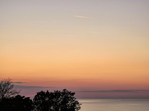 20200816_204107.jpg