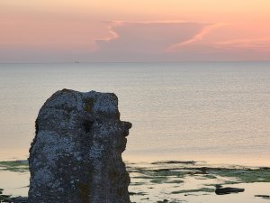 20200818_201045.jpg