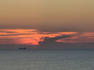 20200818_202436.jpg